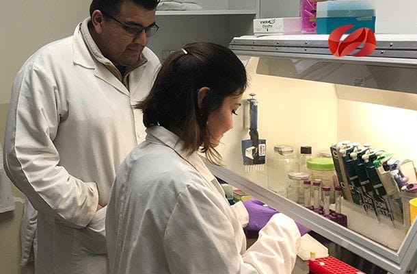 Detectando la tuberculosis con técnicas de biología molecular Xpert